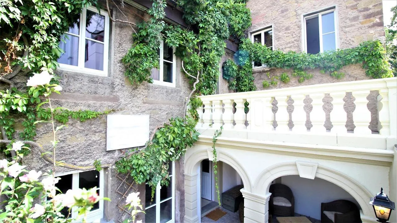 דירות וירצבורג Idyllic Setting In Center - Bright & Modern